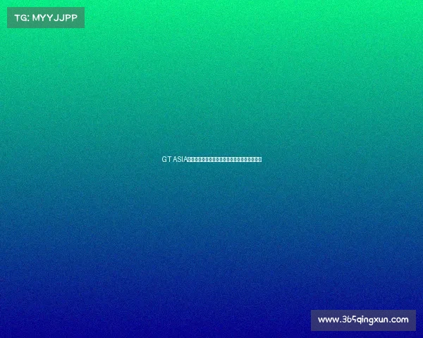 GT ASIA亚洲锦标赛顶尖车手速度盛宴激情角逐荣耀巅峰